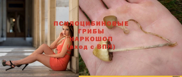 a pvp Покачи