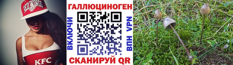 цена наркотик  Руза  Галлюциногенные грибы мицелий 